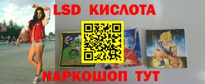 spice Обнинск