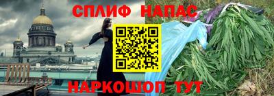 мдпв Обь